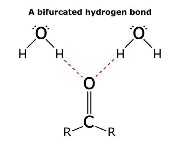 hydrogen bond