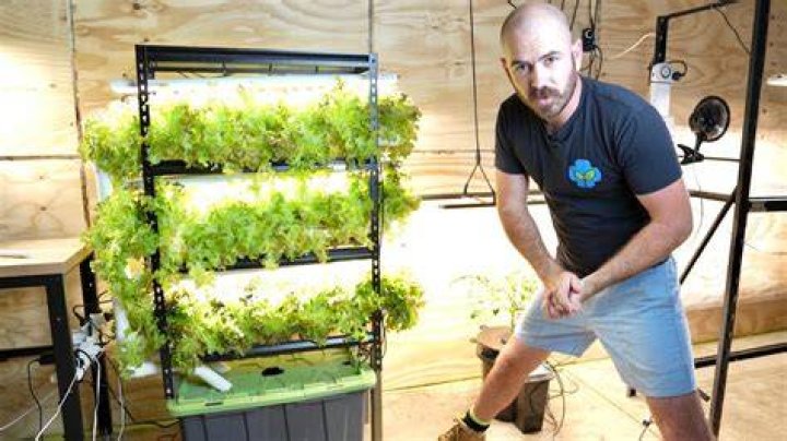 hydroponics at home