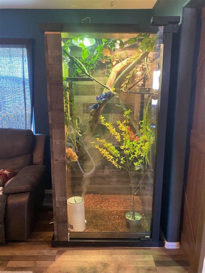 iguana enclosure