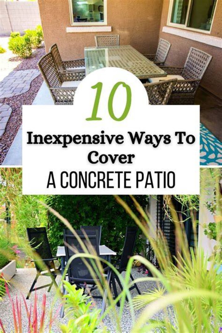 inexpensive ways to cover a chain link fence