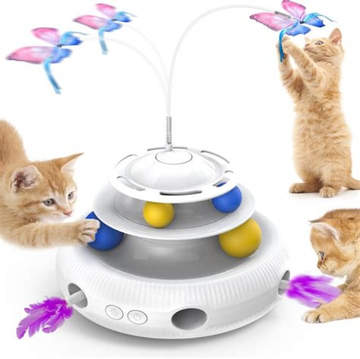 interactive cat toys