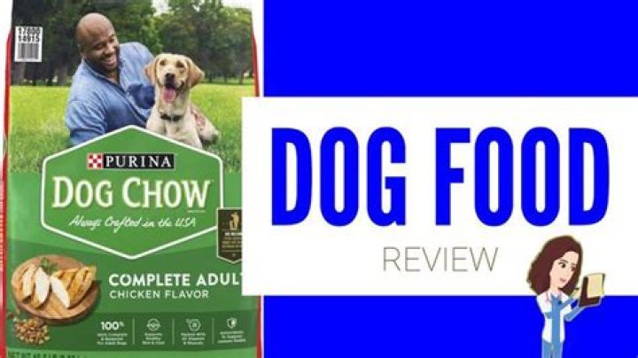 Is Dog Chow Good For Pitbulls Is Dog Chow Good For Pitbulls