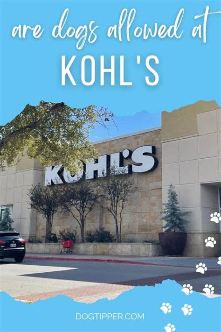 Is Kohl’s Dog Friendly