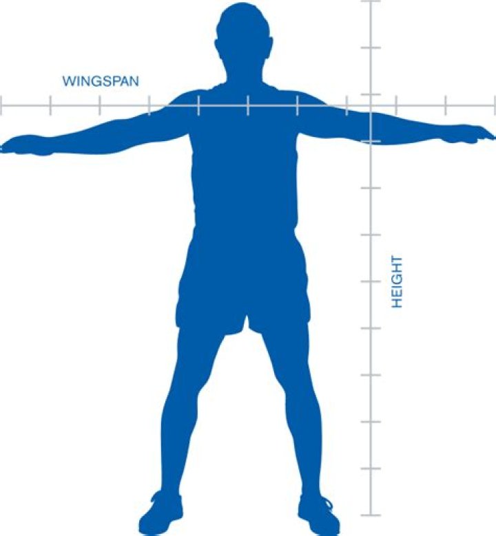 Is Your Wingspan How Tall You Are