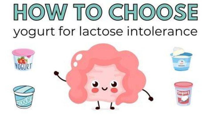 lactose intolerance yogurt