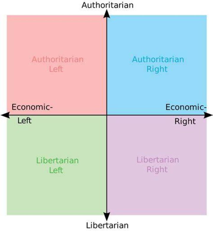 left libertarian