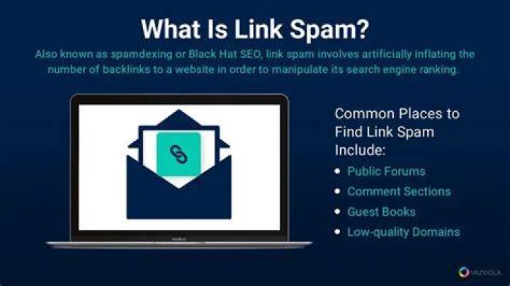 Link Spam (blog Spam, Comment Spam)