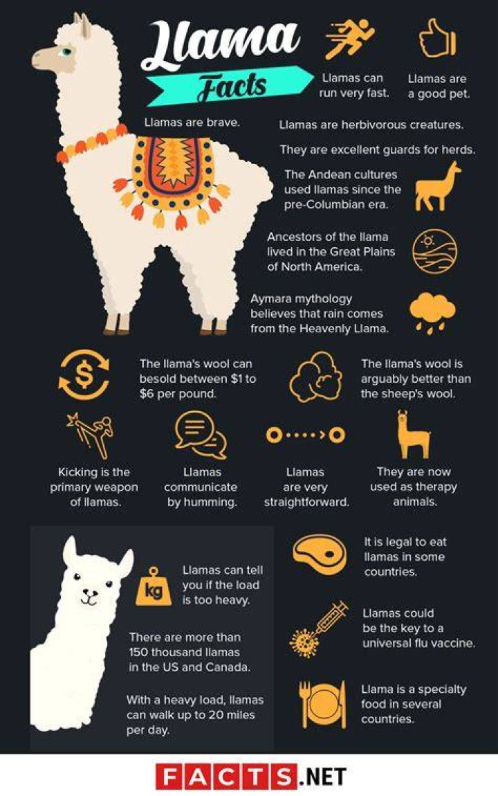 llama facts