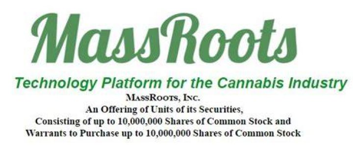 massroots stock