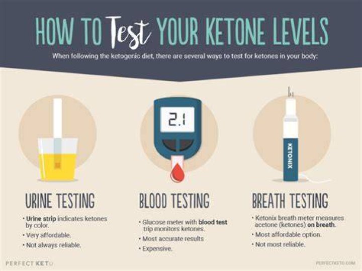 Measuring If You’re In Ketosis