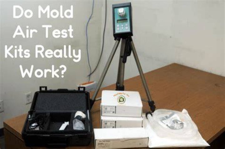 mold air test