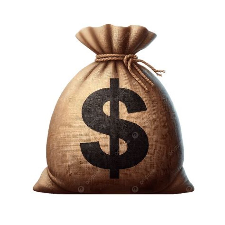 :moneybag:
