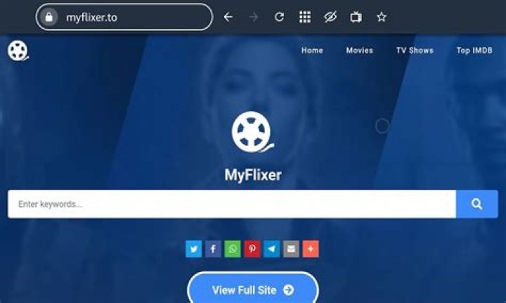MyFlixer. com