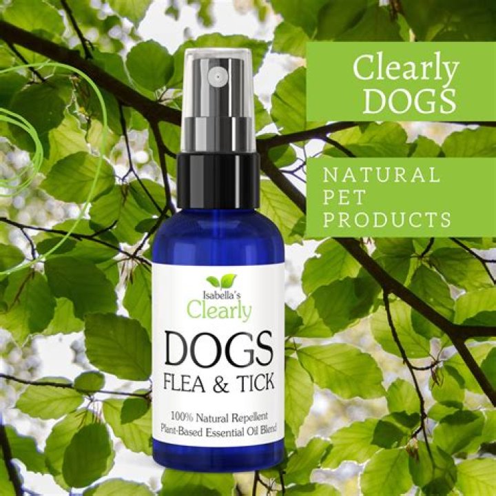 natural flea repellent for dogs