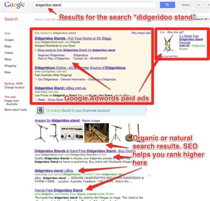 Natural Search Results