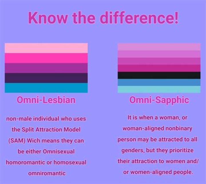 omnisexual definition