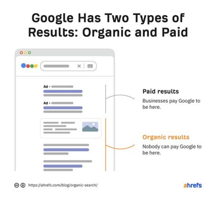 Organic Search