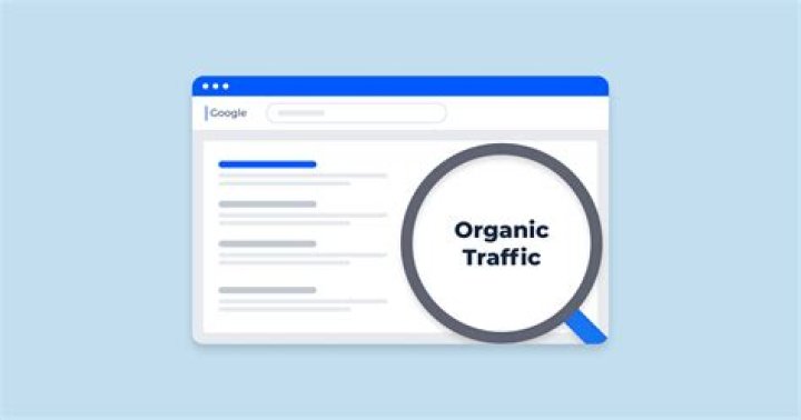 Organic Traffic
