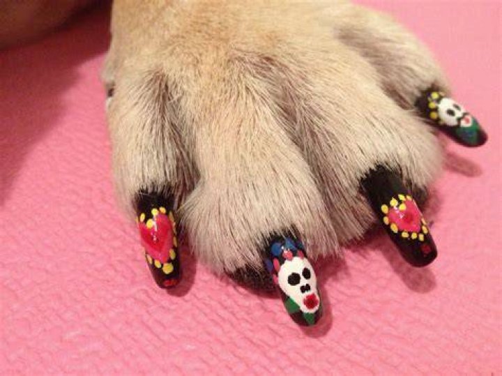Painted Dog Nails