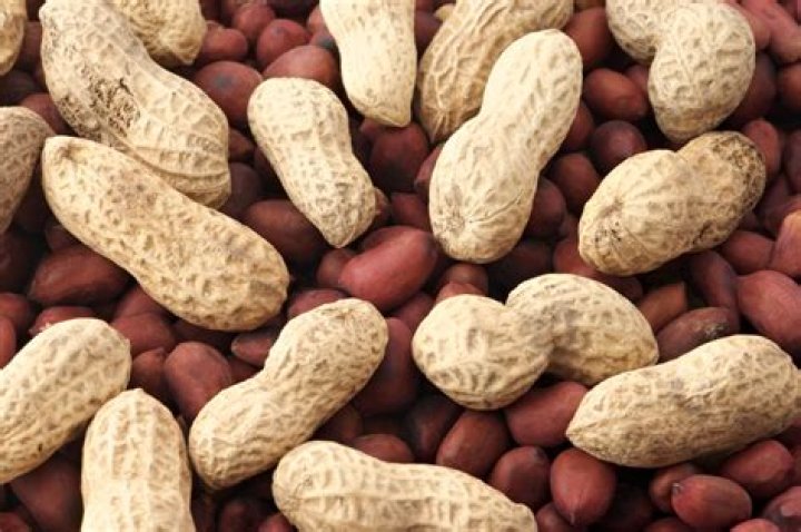 Peanuts And Gout Peanuts And Gout