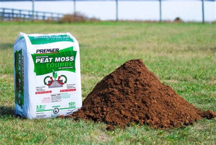 peat moss for lawns