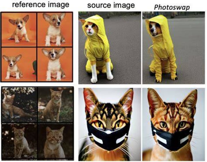 Photoswap