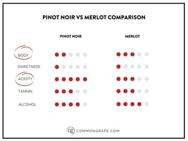 pinot noir vs merlot