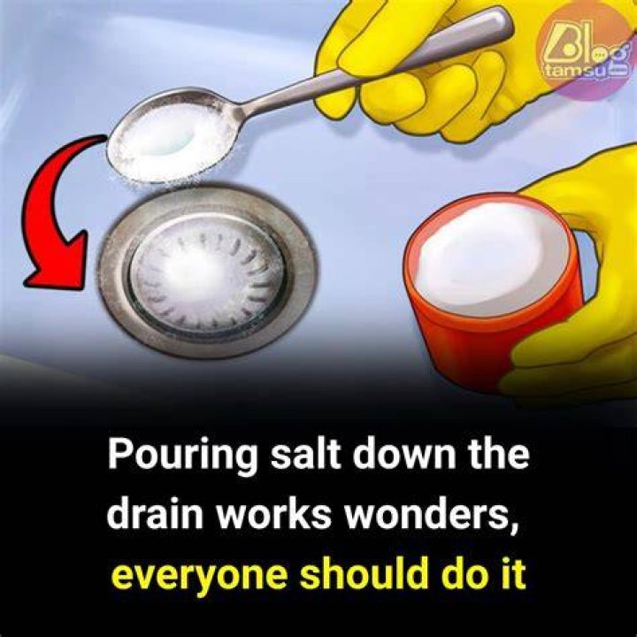 pouring salt down the drain