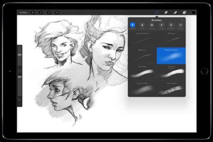 procreate free download
