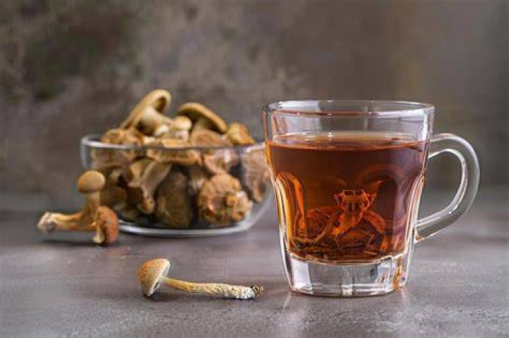 psilocybin tea