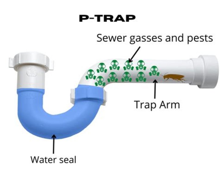 ptrap