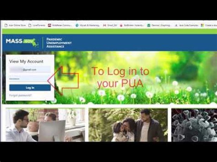 pua massachusetts