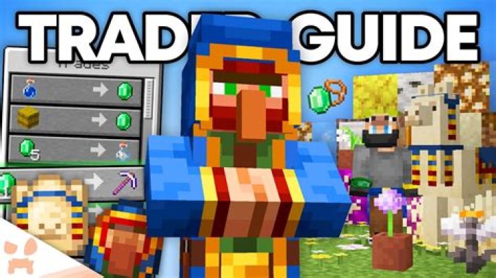 Question: How Do Travelling Traders Work Minecraft