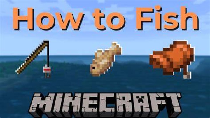 Question: How Much Space To Fish Minecraft