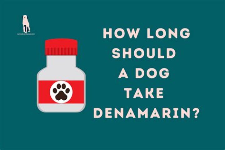 Question: How To Get Dog To Take Denamarin