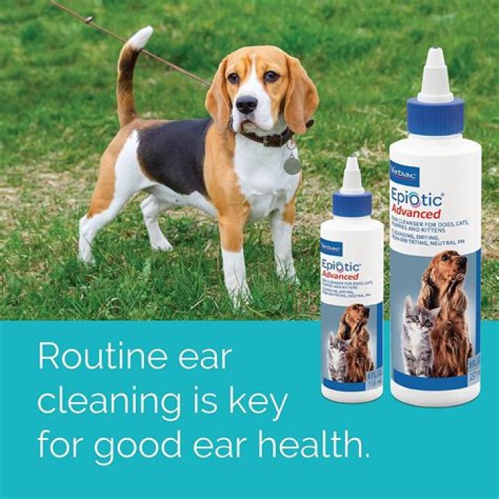 Question: How To Use Epiotic Ear Cleanser For Dogs