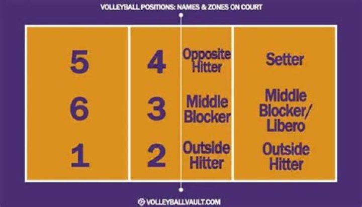 Question: What Does Ds Mean In Volleyball