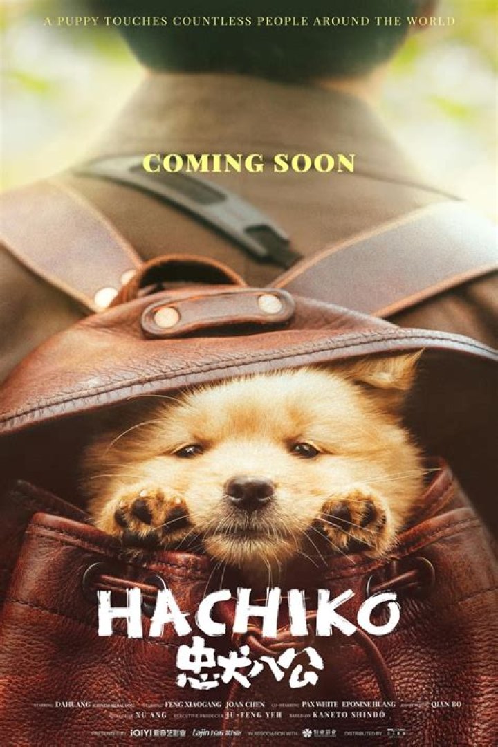 Question: What Dog Is Hachi