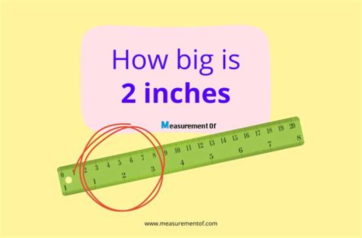 Question: What Is Size 2 In Inches