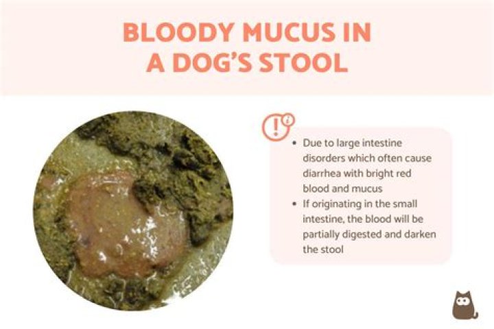 Question: What Makes Hot Dogs Slimy