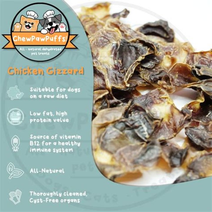 Quick Answer: Are Chicken Gizzards Good For Dogs To Eat