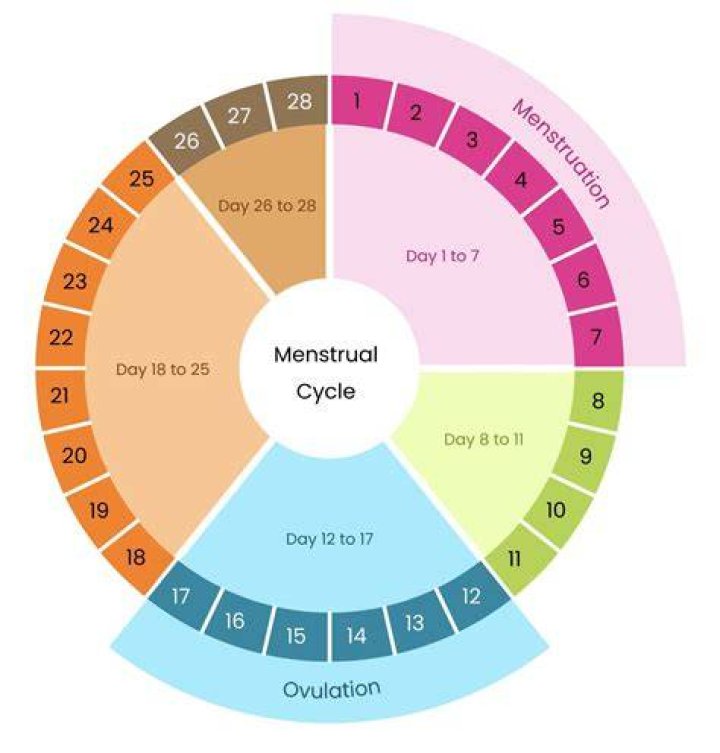 Quick Answer: Can Clomid Delay Menstrual Cycle