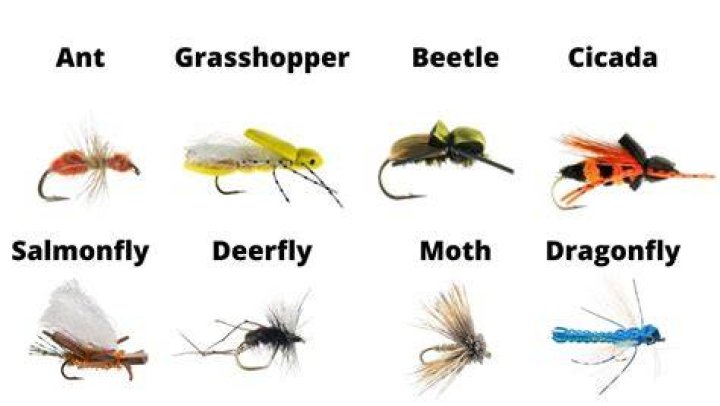 Quick Answer: How Long Do Fish Flies Last In Michigan