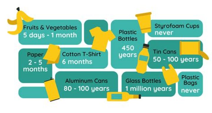Quick Answer: How Long Does It Take To Adjust To Probiotics