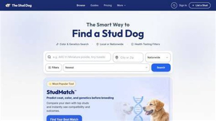 Quick Answer: How Much Is A Stud Fee For A Dog