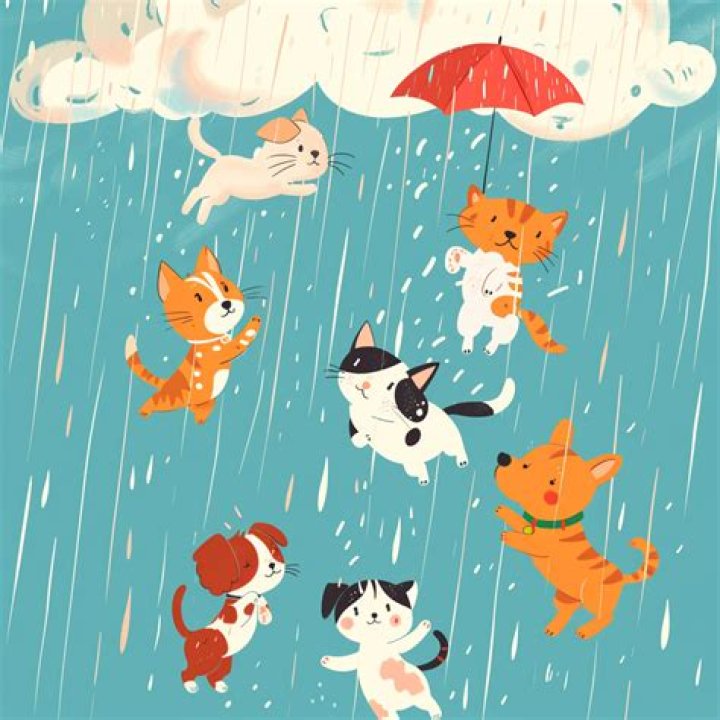 Quick Answer: Is Raining Cats And Dogs A Hyperbole
