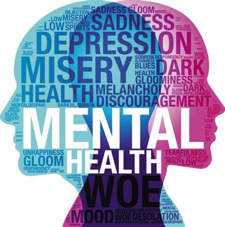 Quick Answer: Is School Or Your Mental Health More Important