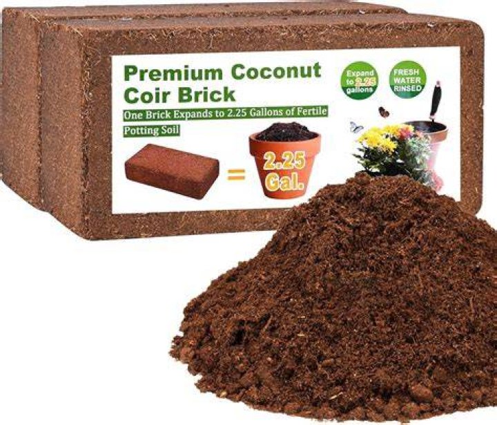 Quick Answer: Is Scotts Mulch Safe For Dogs