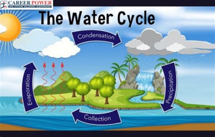 Quick Answer: What Are The 7 Steps Of Water Cycle