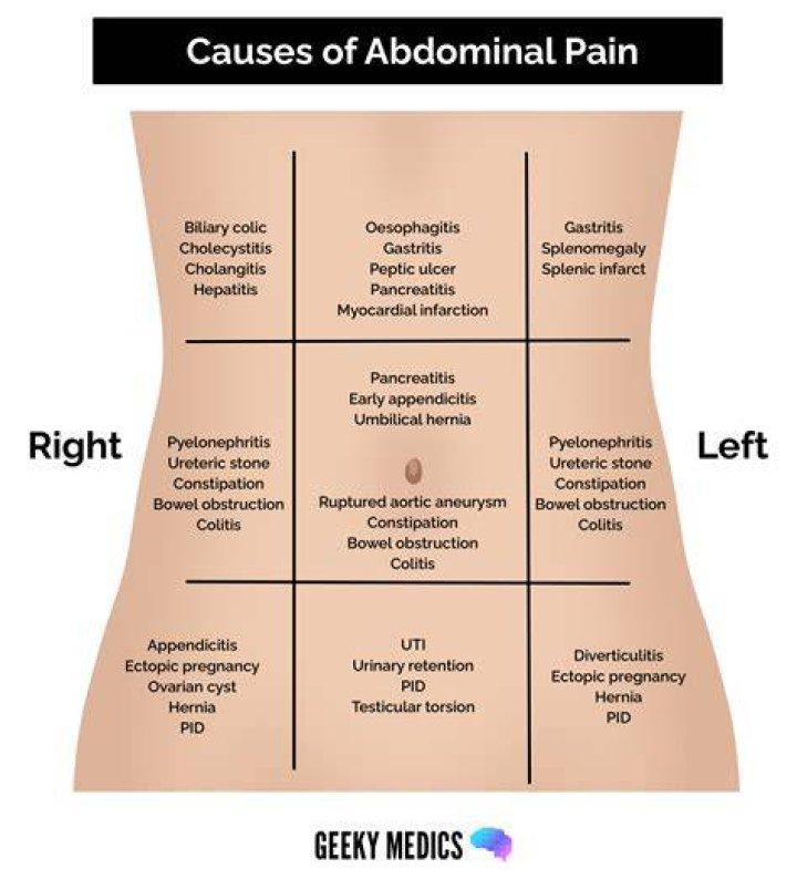 Quick Answer: What Causes A Dog To Breath From Thier Stomach